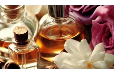 Le famiglie olfattive