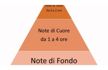 La piramide olfattiva dei profumi