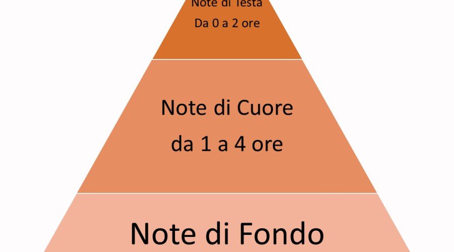 The olfactory pyramid of perfumes